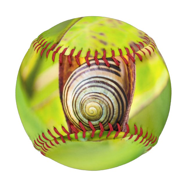 Balle De Baseball attachement calme (Devant)