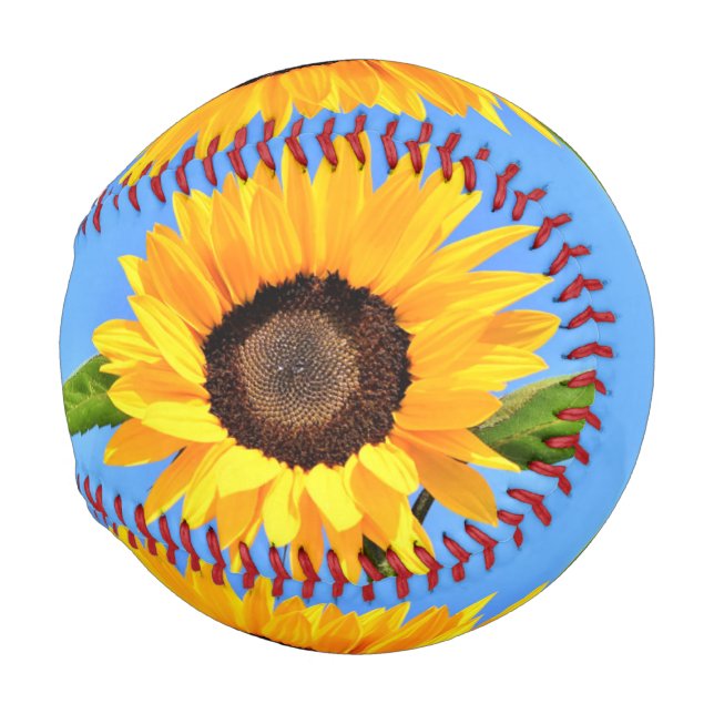 Balle De Baseball Baseball de tournesol jaune (Devant Droite)