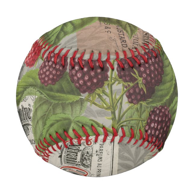 Balle De Baseball Blackberries Floral Garden Flower Papillon Art (Devant)