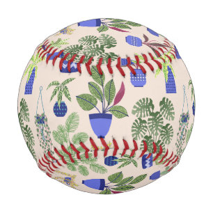 Balle De Baseball Cactus Succulent