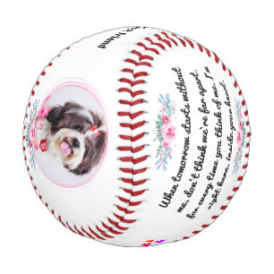 Balle De Baseball Cadeau Commémoratif Pour Animaux De Compagnie