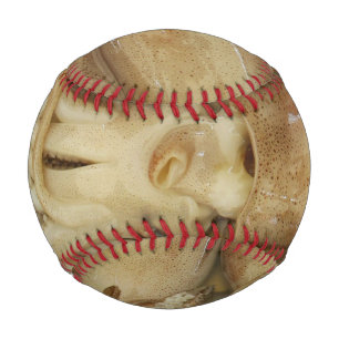 Balle De Baseball Calamari