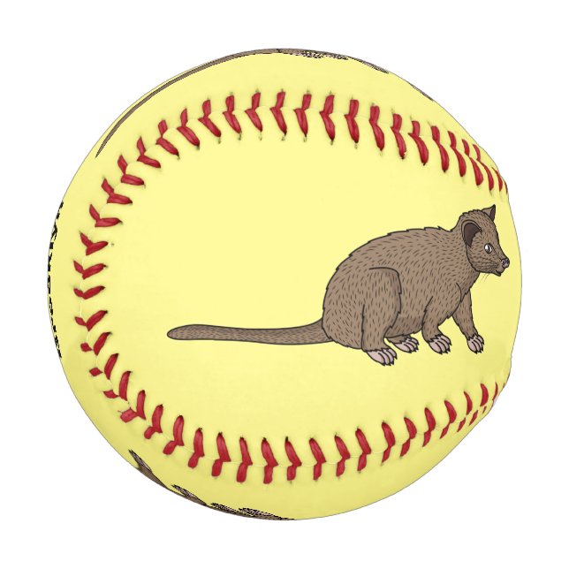 Balle De Baseball Civet de mûte luwak, dessin animé (Devant Gauche)