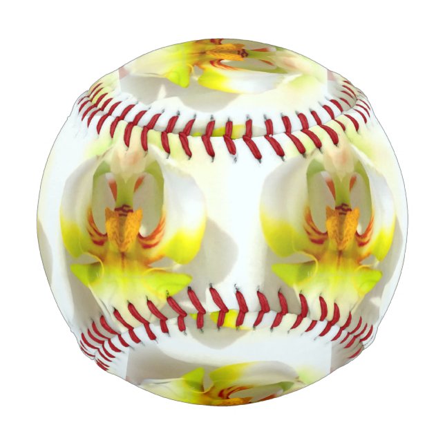 Balle De Baseball closeup orchidées jaune-blanc Thunder_Cove (Devant)