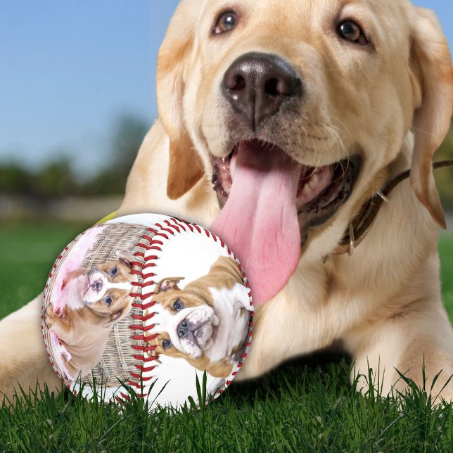 Balle De Baseball Collage de photos de chiot souvenir (Créateur téléchargé)