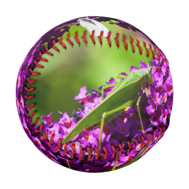 Balle De Baseball énergie katydone (Devant Gauche)