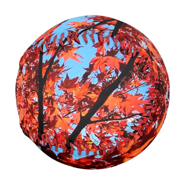 Balle De Baseball Feuilles d'automne (Devant Droite)