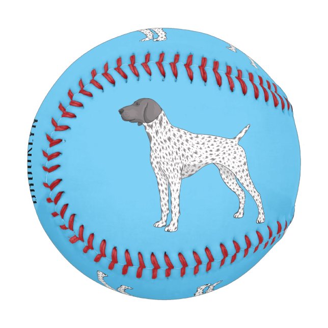 Balle De Baseball German Shorthred Pointer dog (Devant Gauche)