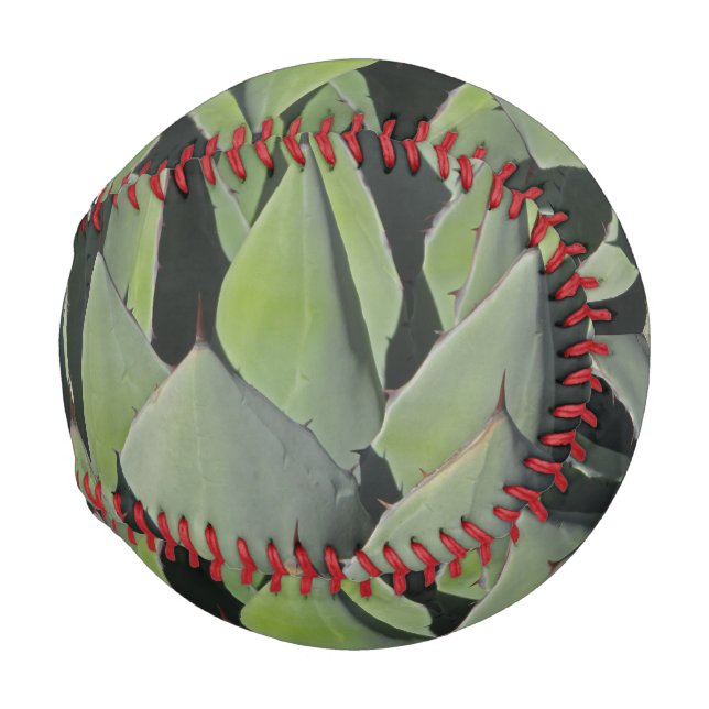 Balle De Baseball Green Agave Feuille Botanique Photo Sud-ouest (Devant Droite)