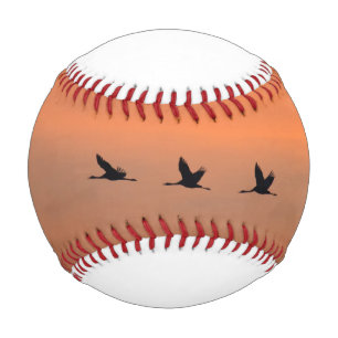 Balle De Baseball Grues au lever du soleil