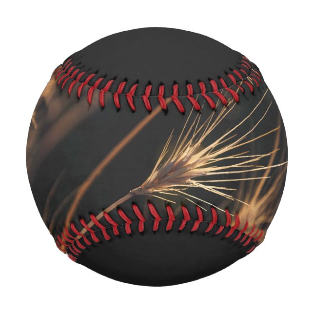 Balle De Baseball Herbe Sauvage À Courte Éclatement Unique (Devant)