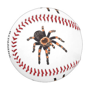 Balle De Baseball Illustration de Tarantula