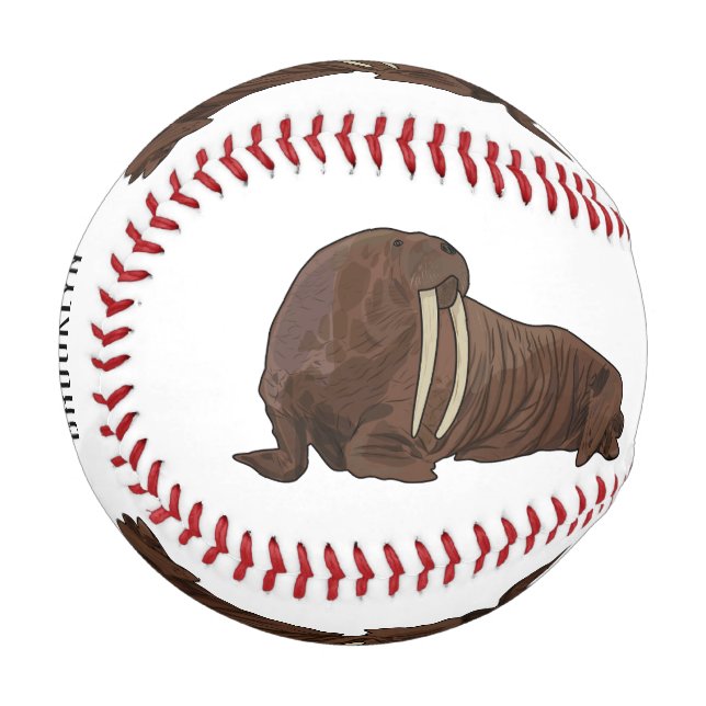 Balle De Baseball Illustration de Walrus (Devant Gauche)