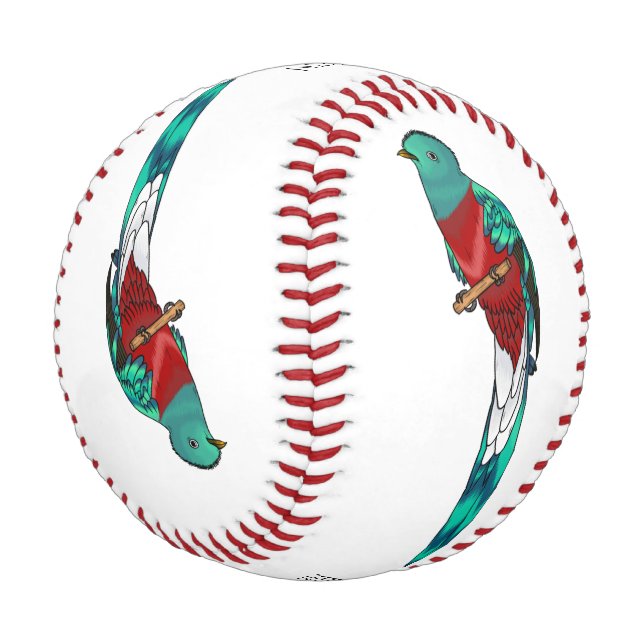 Balle De Baseball Illustration d'oiseau de quetzal resplendissant (Angle)