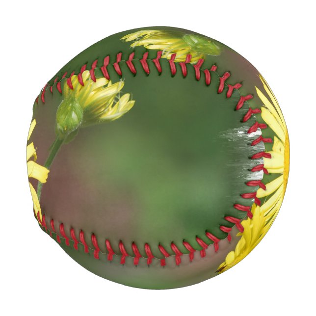 Balle De Baseball La Bane de Wolf (Devant Droite)