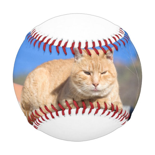 Balle De Baseball Lazy cat (Devant)