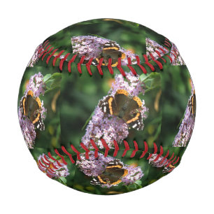 Balle De Baseball Le papillon de l'amiral rouge et le baseball de bo
