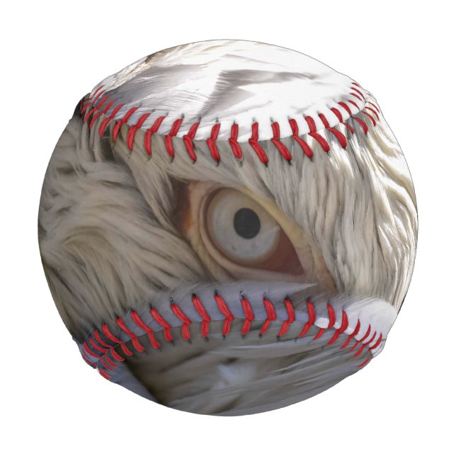 Balle De Baseball L'oeil d'un pélican (Devant)