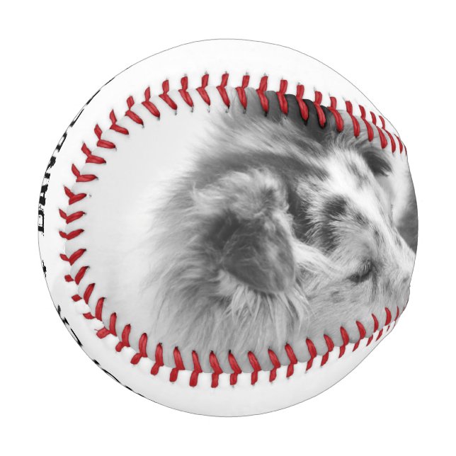 Balle De Baseball Photo simple, moderne personnalisée pour animaux d (Devant Gauche)