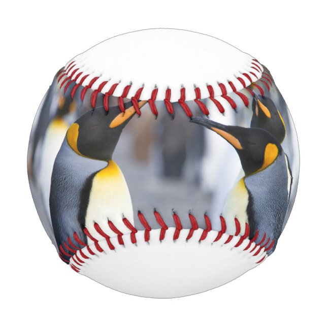 Balle De Baseball Roi Pingouin (Devant)