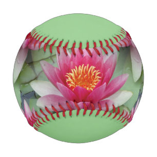 Balle De Baseball Rose Lotus Water Lily