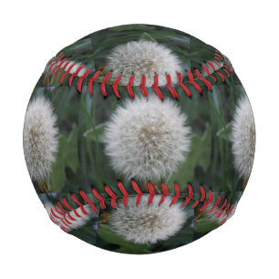 Balle De Baseball Saisie Dandelion Flower Baseball