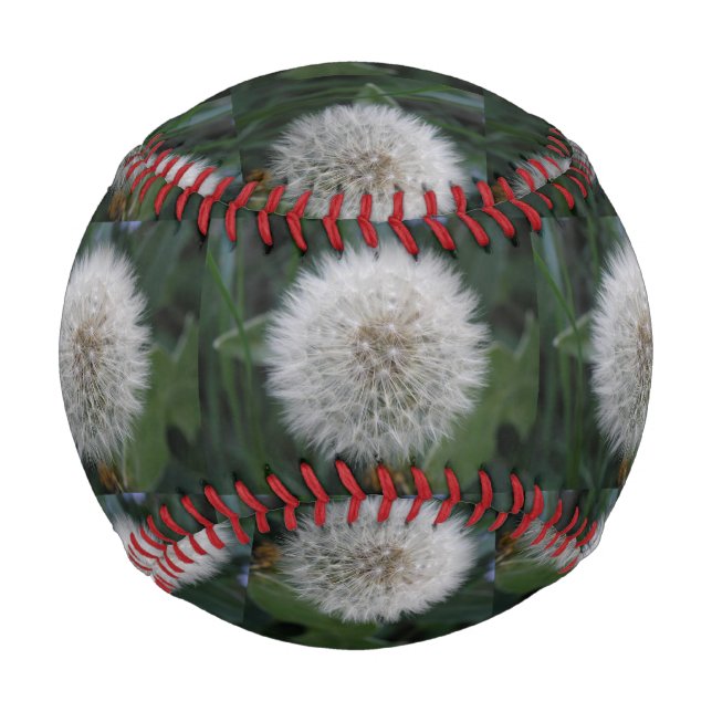 Balle De Baseball Saisie Dandelion Flower Baseball (Devant)