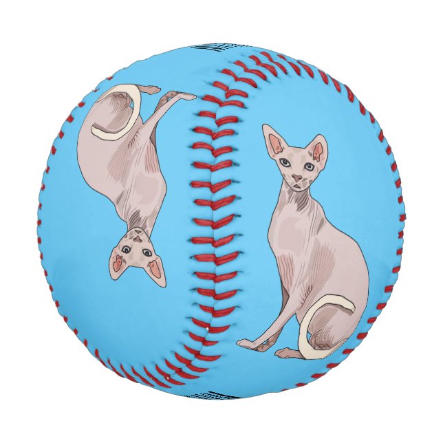 Balle De Baseball Sphynx cat (Angle)