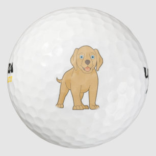 balle de golf jaune labrador