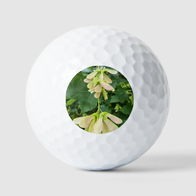 Balle de Golf Nature Fleur Blanche (Recto)