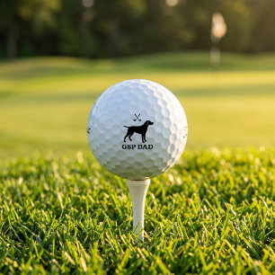 Balle de golf Titleist Pro V1 pour papa Kurzhaar a