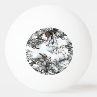 Balle De Ping Pong Abstrait de neige