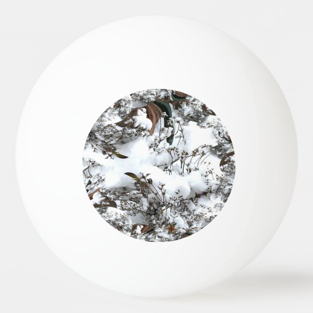 Balle De Ping Pong Abstrait de neige (Devant)
