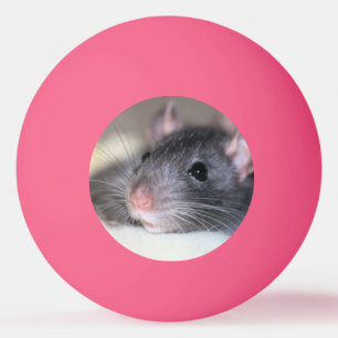Balle De Ping Pong Adorable