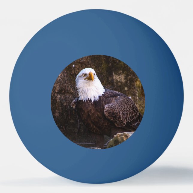 Balle De Ping Pong Aigle de Bald (Devant)