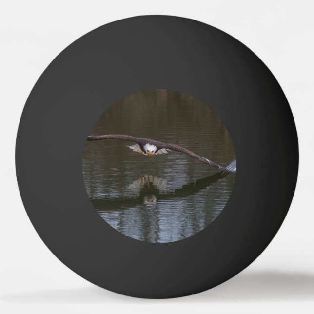Balle De Ping Pong Aigle royal en vol (Devant)