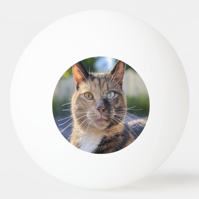 Balle De Ping Pong Ajouter une Personnaliser photo de chat (Devant)