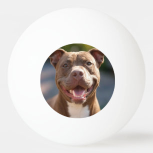 Balle De Ping Pong Ajouter une Personnaliser photo Pit Bull