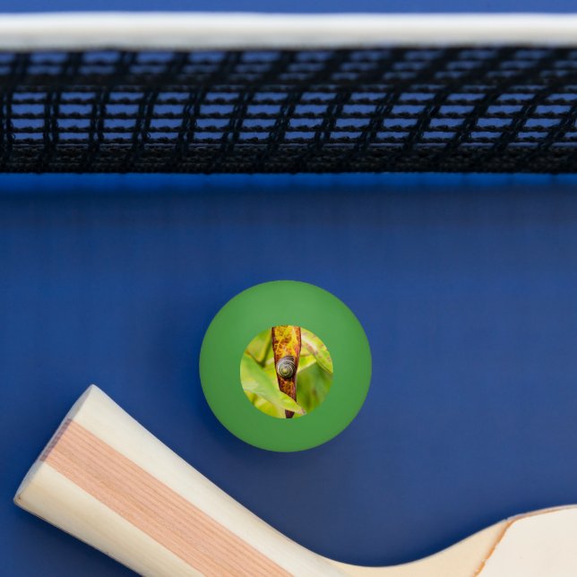 Balle De Ping Pong attachement calme (Tableau)