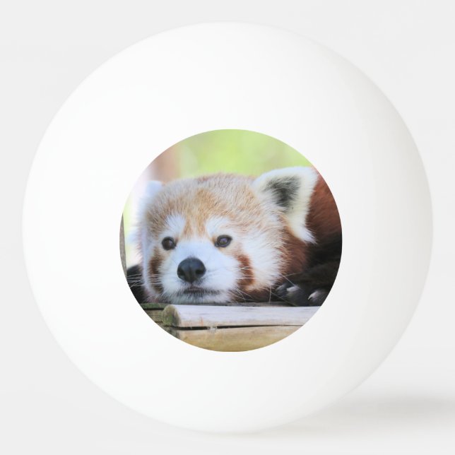Balle De Ping Pong Bal Ping Ping Cute (Dos)