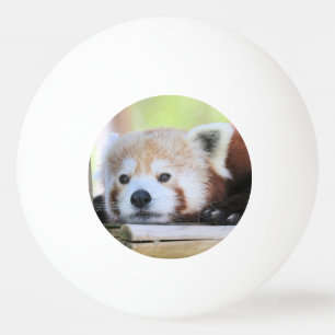 Balle De Ping Pong Bal Ping Ping Cute