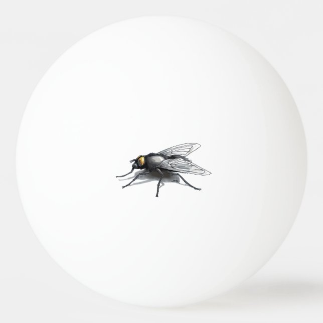 Balle De Ping Pong Ballon de ping-pong 1 étoile Fly Buddy (Devant)