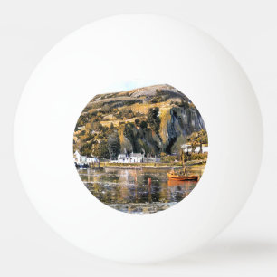 BALLE DE PING PONG BARMOUTH WALES