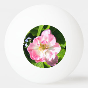 Balle De Ping Pong Belle tulipe rose
