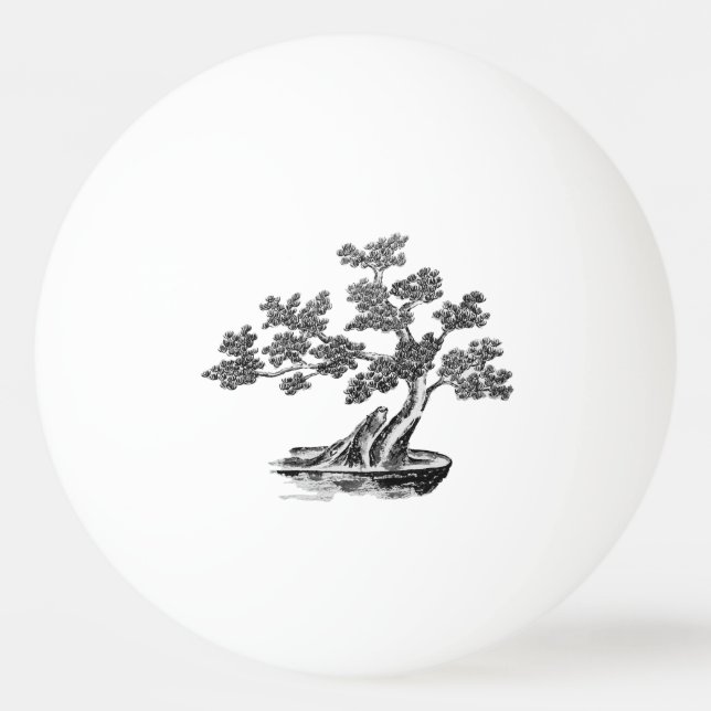 Balle De Ping Pong Bonsai - Style chinois - noir et blanc (Devant)