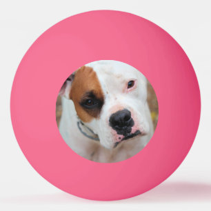 Balle De Ping Pong Boucle