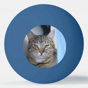 Balle De Ping Pong Boule de ping-pong