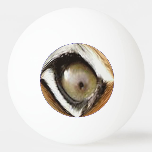 Balle De Ping Pong Boule de ping-pong - l'oeil du tigre (Dos)