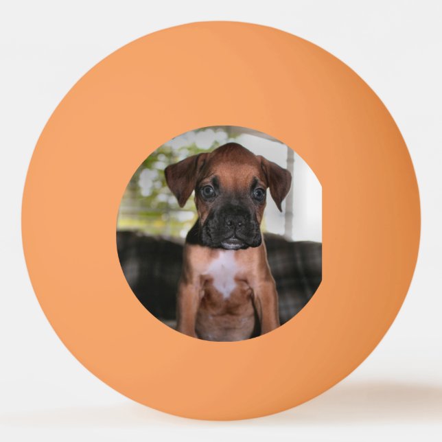 Balle De Ping Pong Boxer Bqby (Devant)