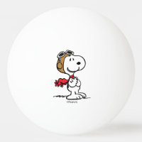 cacahuètes | Snoopy L'As Volant